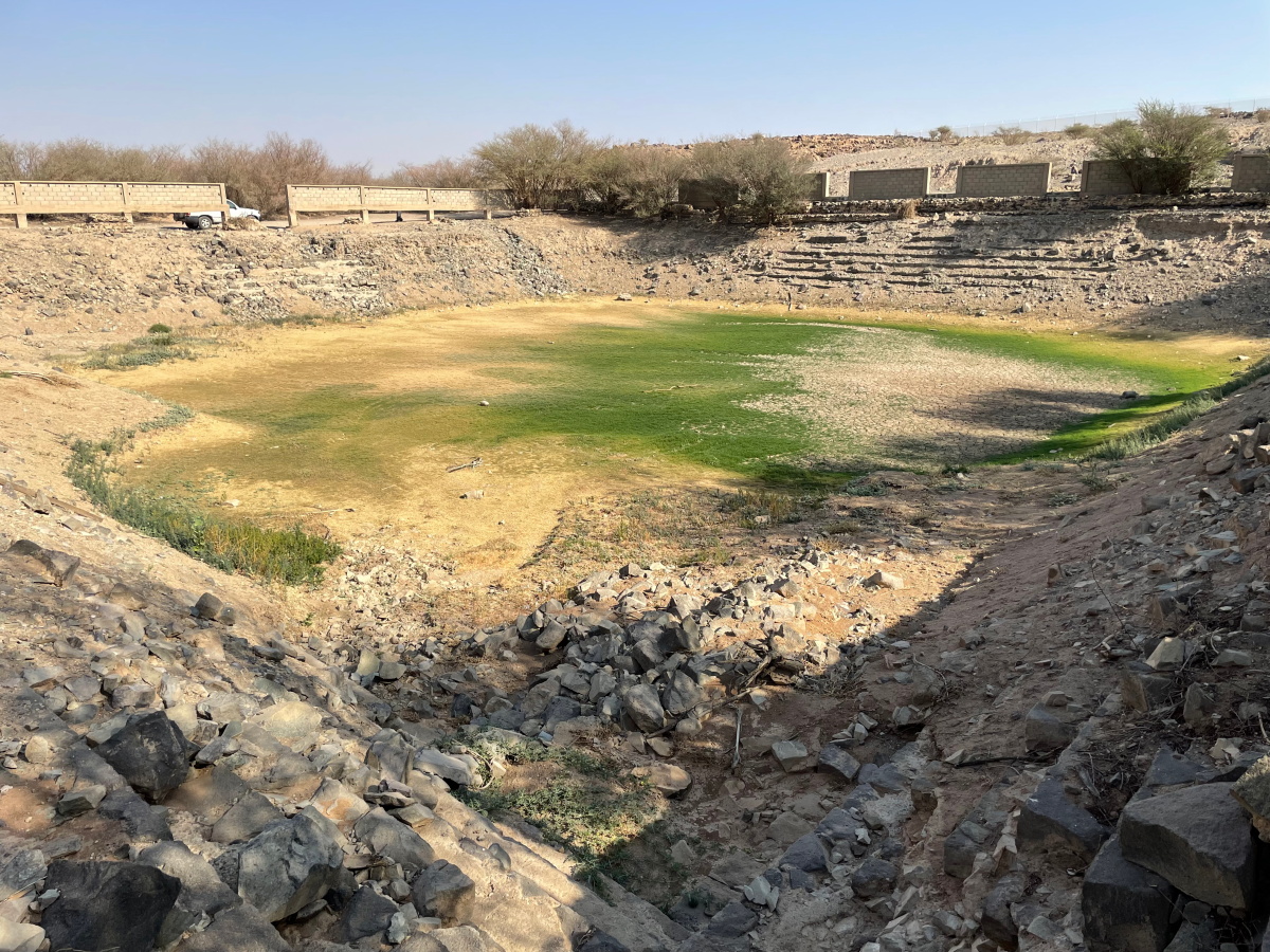 Grass growing in the Abu Jafar al-Mansur reservoir