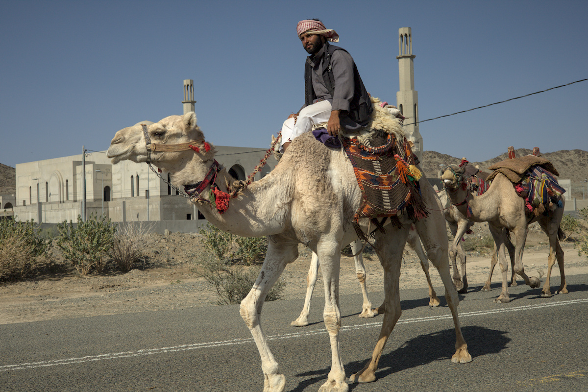 Omar riding camels in front of a mosque