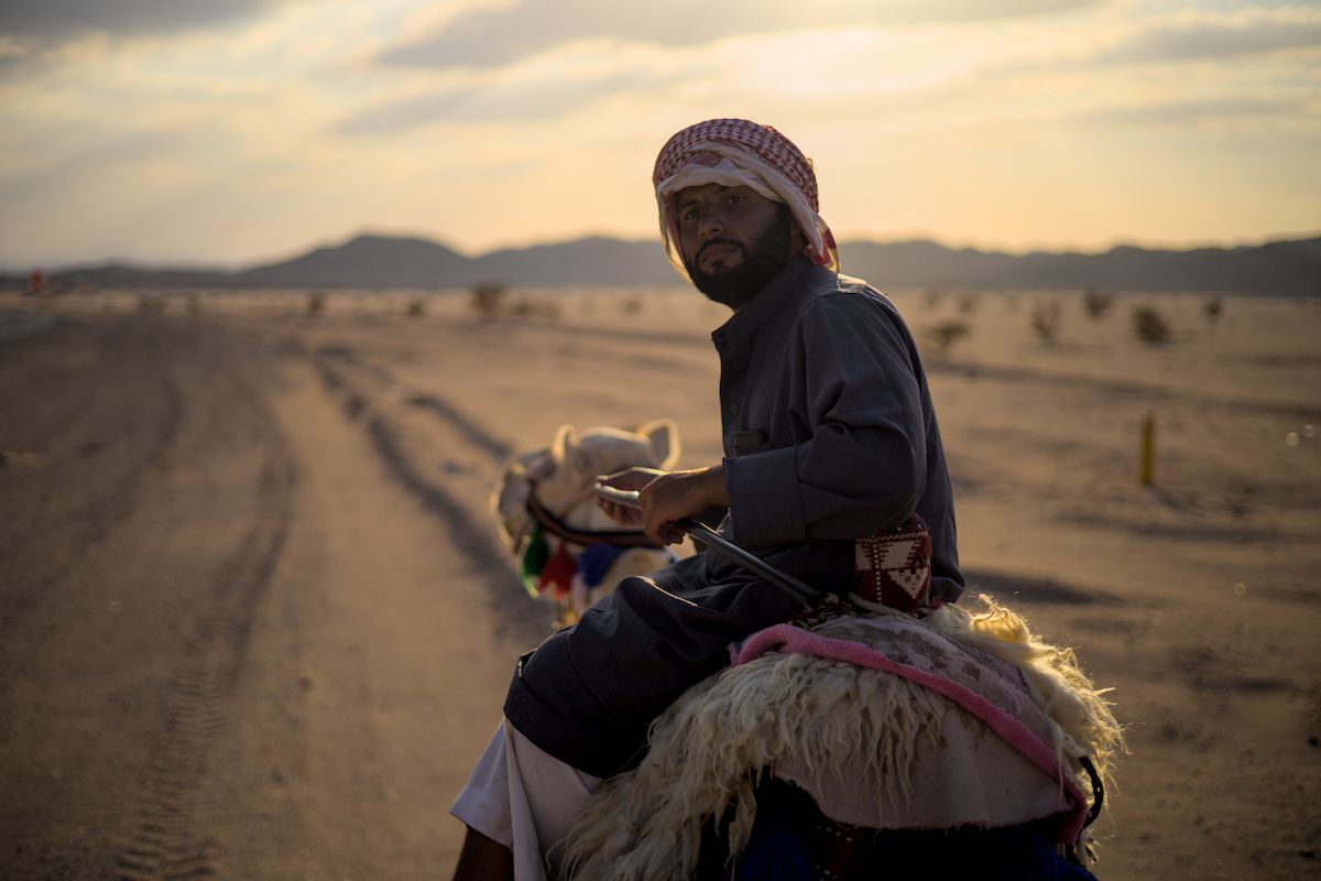 Omar riding his camel at sunsight